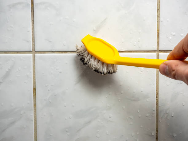 Best Mold Removal Company Near Me  in Albany, GA